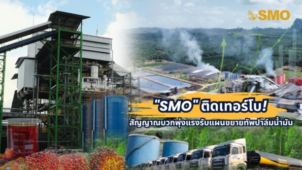 “SMO” ติดเทอร์โบ! สัญญาณบวกพุ่งแรงรับแผนขยายทัพปาล์มน้ำมัน