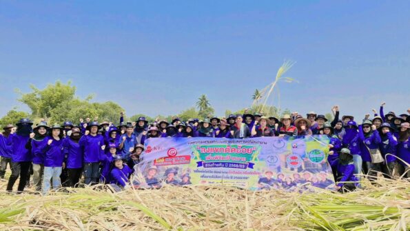 กลุ่ม KTIS จัดกิจกรรม “ลงแขกตัดอ้อย” ระดมพนักงานทุกส่วนรวมพลังช่วยชาวไร่ ลดภาระช่วงวิกฤตน้ำมันแพง