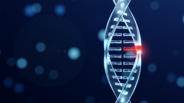 Genetics Life Blueprint: เมื่อการรู้ลึกถึงระดับพันธุกรรม กลายเป็น Big Data เพื่อการวางแผนครอบครัว