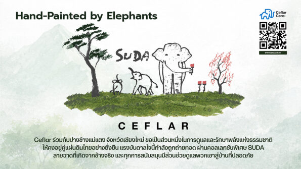 “เคฟล่า” จับมือ “ปางช้างแม่แตง” เปิดตัวคอลเลกชันพิเศษ CEFLAR x SUDA เครื่องใช้ไฟฟ้าจากศิลปะช้างไทย ร่วมสมทบทุนสร้างโรงพยาบาลช้างเชียงใหม่
