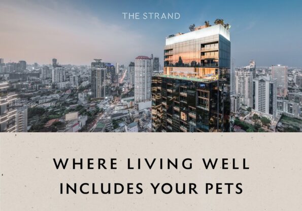 เดอะ สแตรนด์ ทองหล่อ ขยายประสบการณ์การใช้ชีวิตแบบ Pet-Friendly ให้เชื่อมต่อกับทุกมิติของการใช้ชีวิต